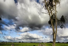 巴塞罗那防线遭遇考验，实力与团队合作助胜