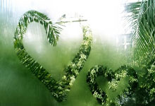 巴拉多利德队员顽强防守，取得胜利：一场足球战术与团队精神的完美结合