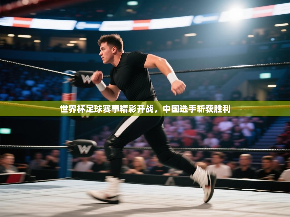 世界杯足球赛事精彩开战,中国选手斩获胜利 第2张