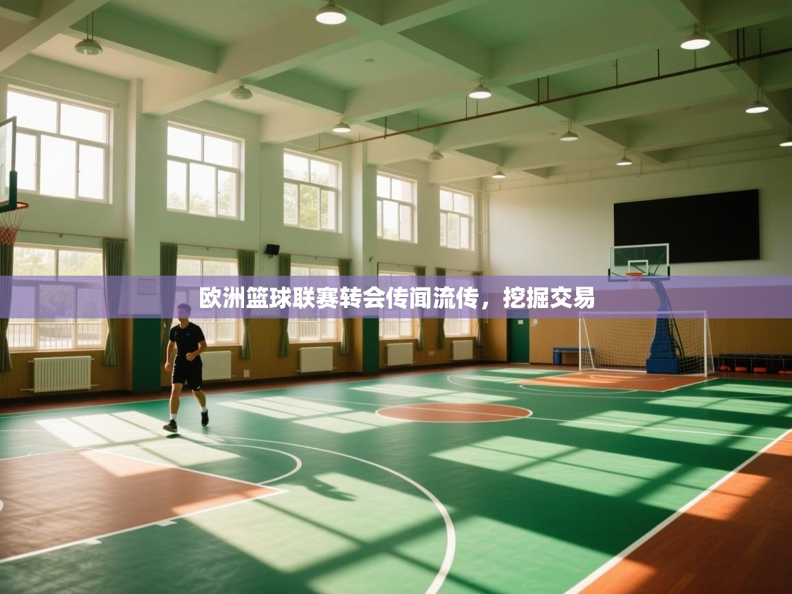 欧洲篮球联赛转会传闻流传，挖掘交易  第2张